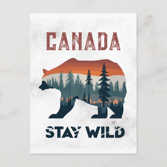 Vintager Kanada Bär Bleibe Wild Travel Postcard Postkarte (Vorderseite)