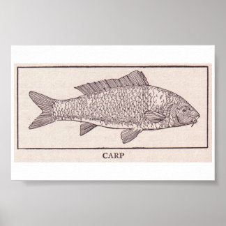 Vintager Karpfen Poster
