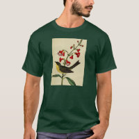 Vintager Kirtlands Trällerer-Vogel