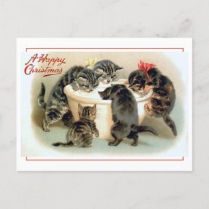 Vintager Kitten Spaß Postkarte