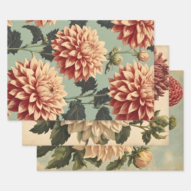 Vintager klassischer rosa weißer Dahlias botanisch Geschenkpapier Set (Set)