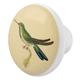 Vintager Kolibri-Fach-Griff 1830 Keramikknauf