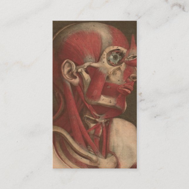 Vintager Kopf, Hals und Schultern der Anatomie-| Visitenkarte (Vorderseite)