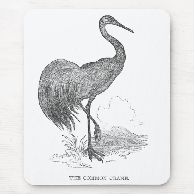 Vintager Krane-Bird-Pen und -Tinte Zeichnend Mousepad (Vorne)
