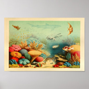 Vintager Kunst-Druck Korallenriff-Farbernst Poster