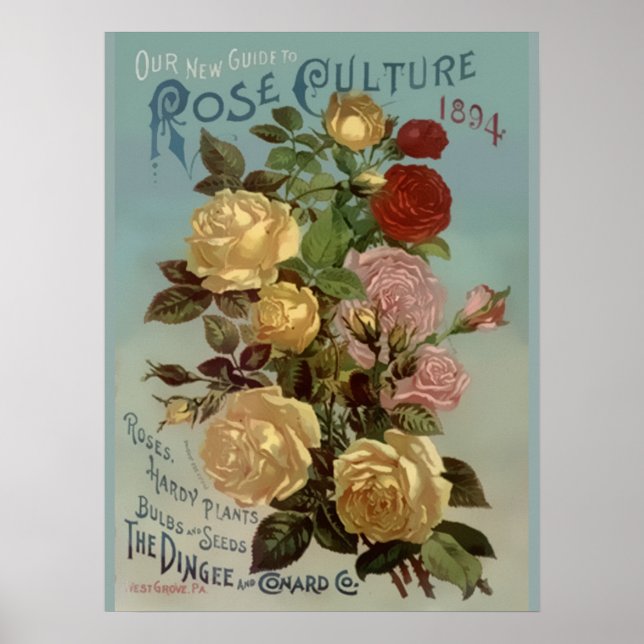 Vintager Leitfaden 1894 zur Kultur der Rose Poster (Vorne)