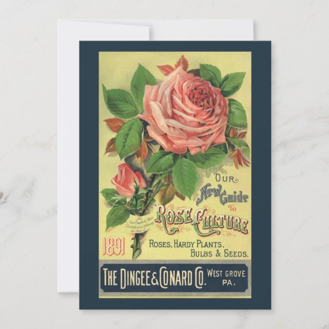 Vintager Leitfaden zur Rose Kulturbuch Kunst, 1891 (Vorderseite)