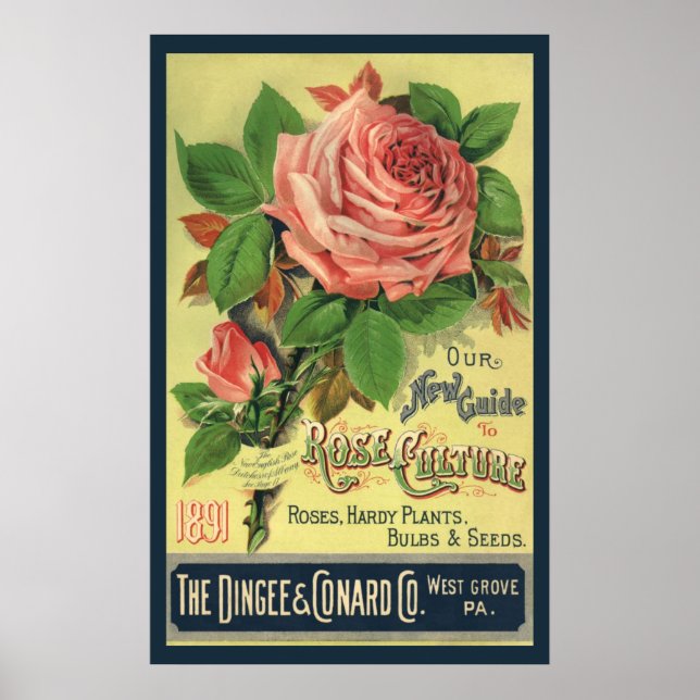 Vintager Leitfaden zur Rose Kulturbuch Kunst, 1891 Poster (Vorne)