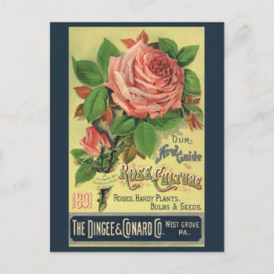 Vintager Leitfaden zur Rose Kulturbuch Kunst, 1891 Postkarte