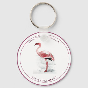 Vintager Lesser Flamingo Gracious wie Sunshine Schlüsselanhänger