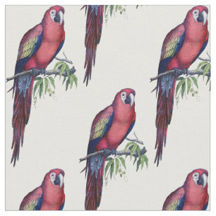 Vintager Makaw Bird Stoff