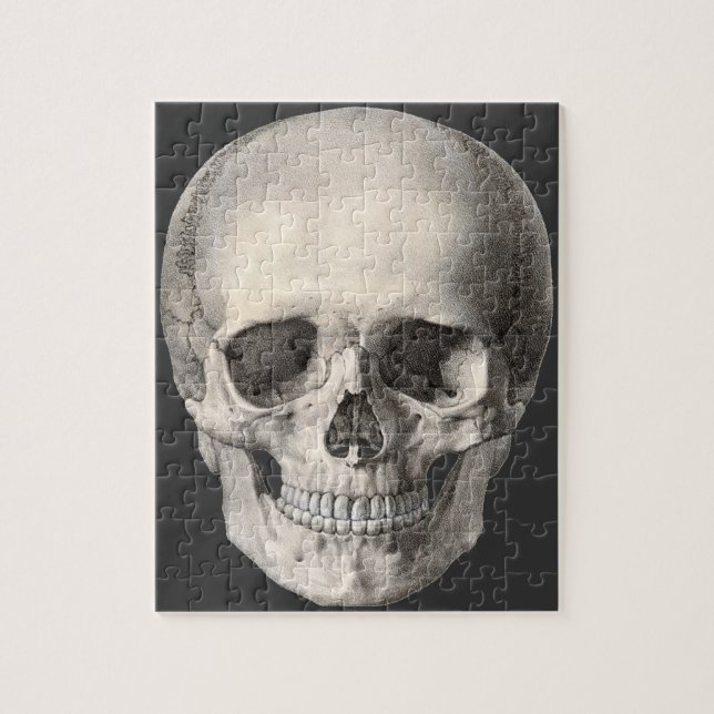 Vintager menschlicher Anatomie Schädel, Halloween- (Vertikal)