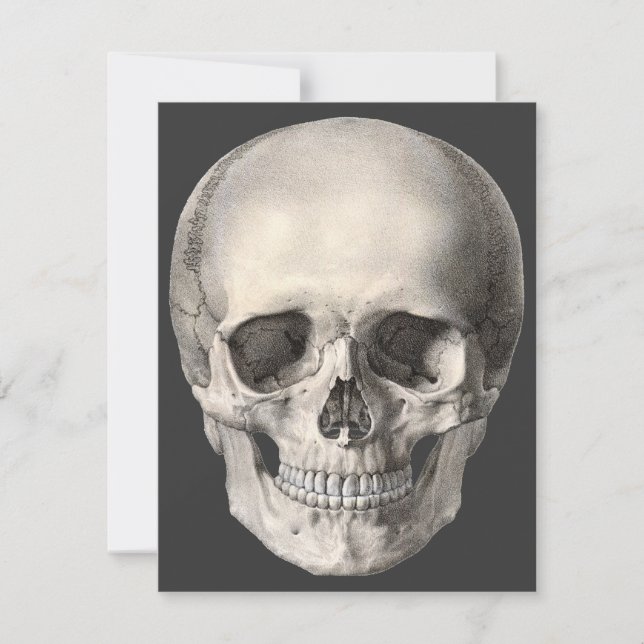 Vintager menschlicher Anatomie Schädel, Halloween- Karte (Vorderseite)