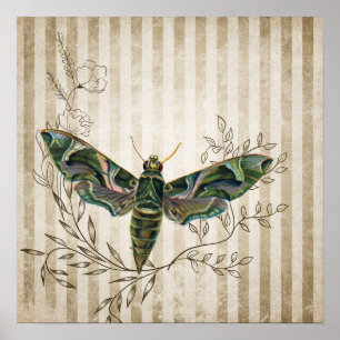 Vintager Moth und Blumenplatz Poster