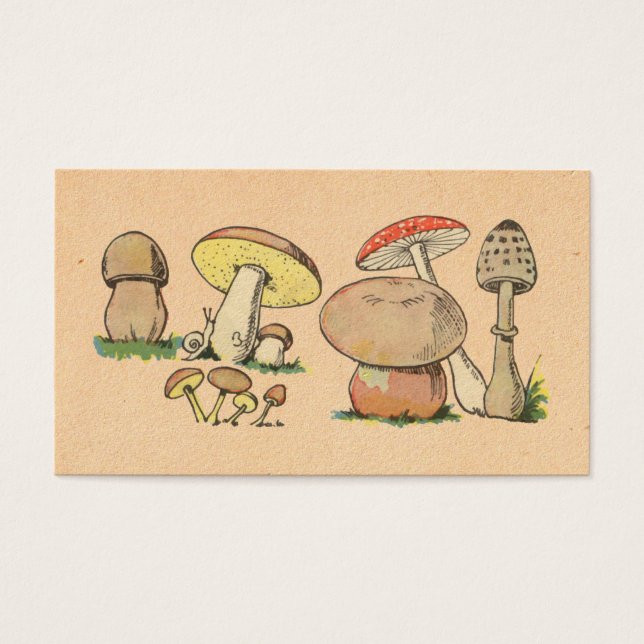 Vintager Mushroom (Vorderseite)
