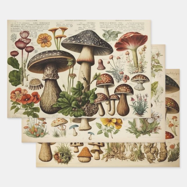 Vintager Mushroom-Cocktail Geschenkpapier Set (Set)