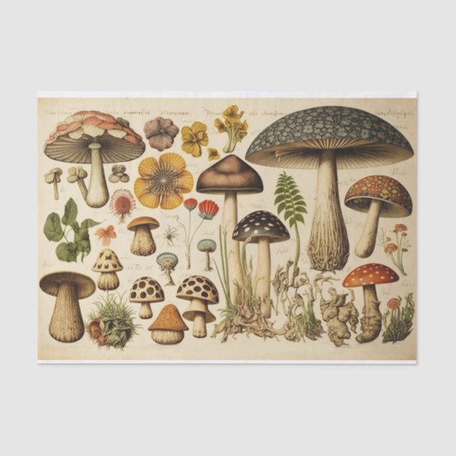 Vintager Mushroom-Kernausschnitt Seidenpapier (Vorderseite)