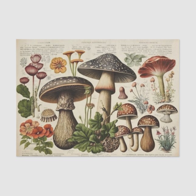 Vintager Mushroom-Kernausschnitt Seidenpapier (Vorderseite)