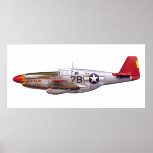 Vintager Mustang P-51 Tuskegee Flieger-Zweiter Poster
