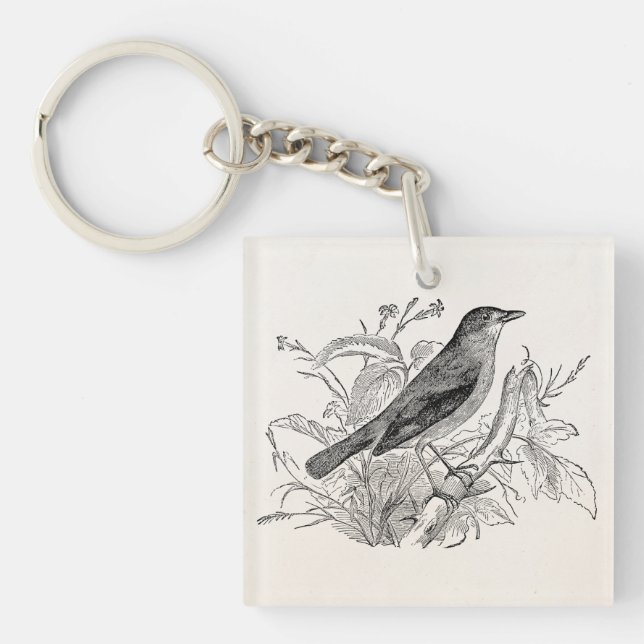 Vintager Nachtigall-Vogel-personalisierte Retro Schlüsselanhänger (Vorderseite)