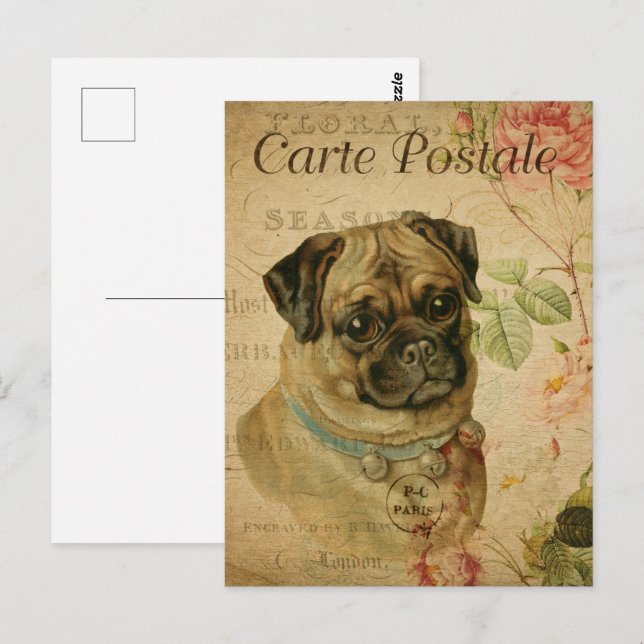 Vintager Niedlicher Mops Postkarte (Vorne/Hinten)