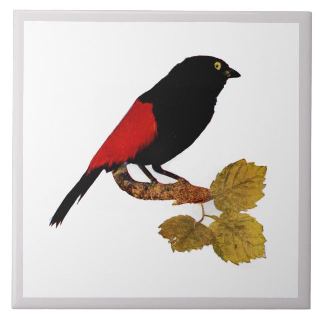 Vintager Niedlicher Rotblitz-Bird und Blattwerk Fliese (Vorderseite)