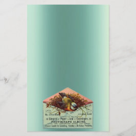 Vintager Nistvogel, aquamariner Pfirsichbraun Briefpapier