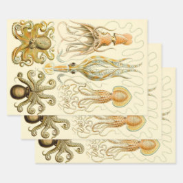 Vintager Octopus-Tintenfisch Gamochonia von Ernst  Geschenkpapier Set