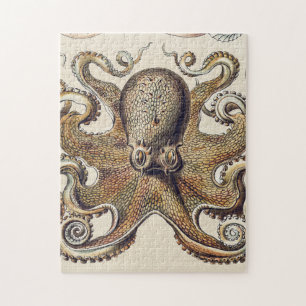 Vintager Octopus-Tintenfisch von Ernst Haeckel