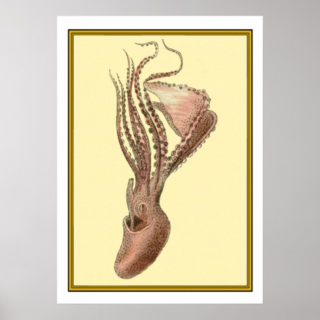 Vintager Oktopus Poster (Vorne)