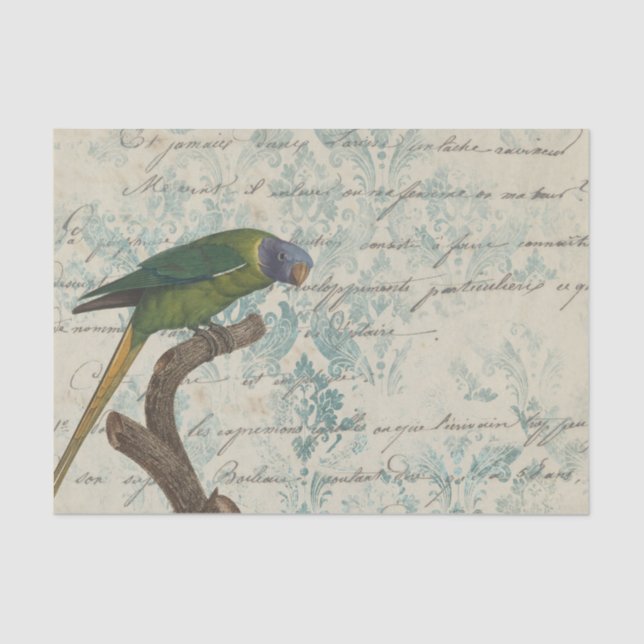 Vintager Papagei Seidenpapier (Vorderseite)