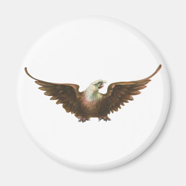 Vintager Patriotismus-amerikanisches kahler Magnet (Vorne)