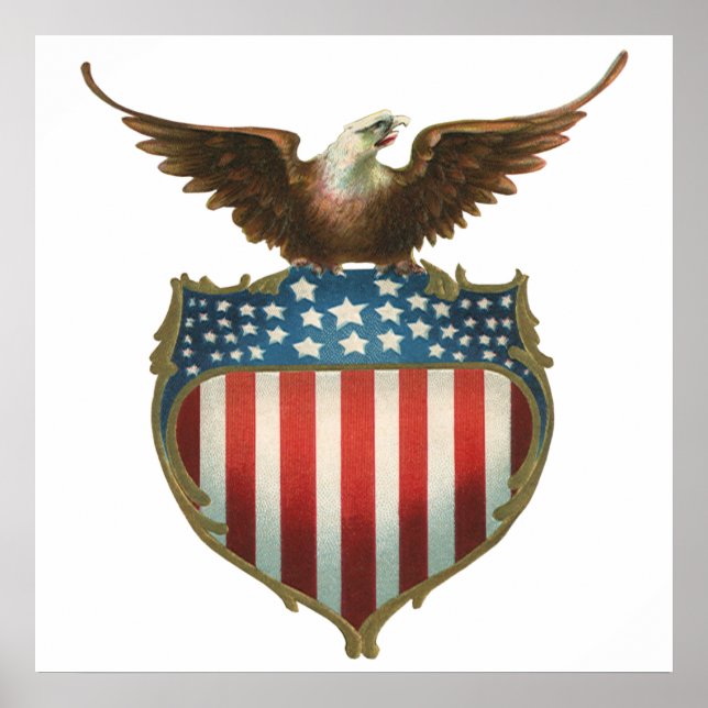 Vintager Patriotismus, Stolzer Adler über amerikan Poster (Vorne)