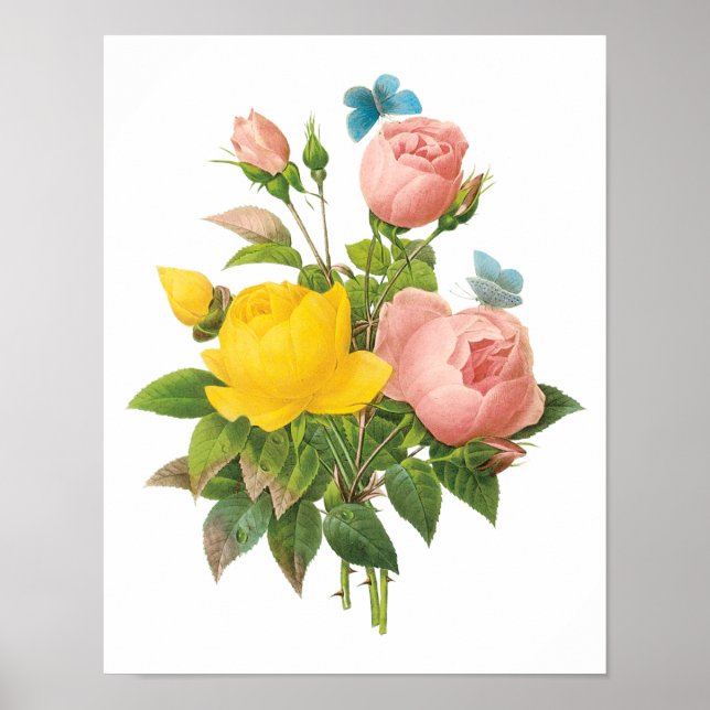 Vintager Perser Gelber Rosentee Rose von Redoute Poster (Vorne)