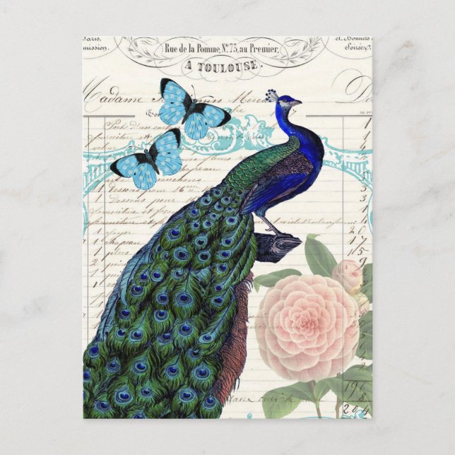 Vintager Pfau auf französischer Postkarte (Vorderseite)
