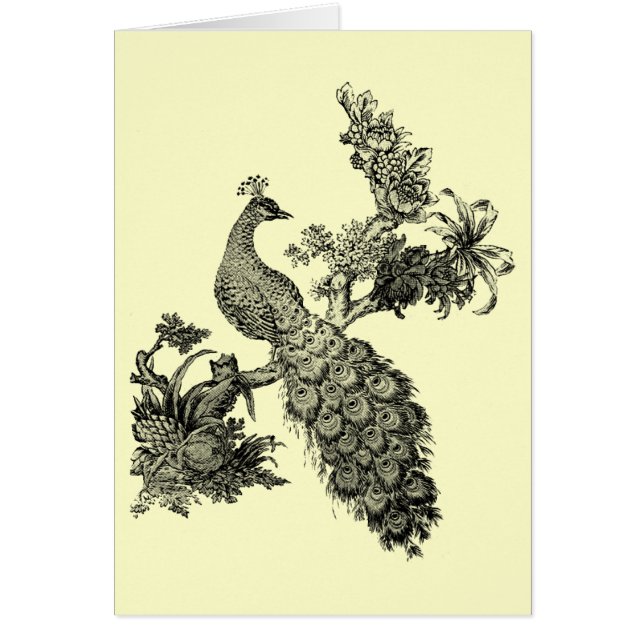 Vintager Pfau auf Niederlassungs-T - Shirts und (Vorne)