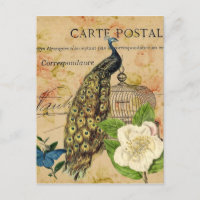 Vintager Pfau der französischen Kamelie