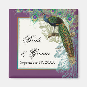 Vintager Pfau, Federn in Etchings Save the Date Magnet