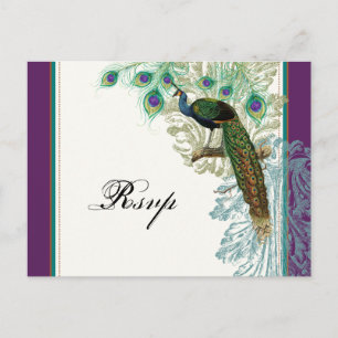 Vintager Pfau, Federn - UAWG Response Postkarte