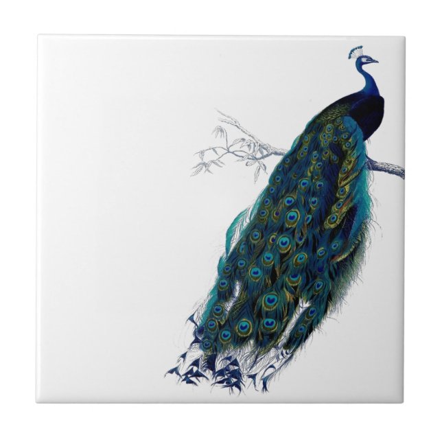 Vintager Pfau Fliese (Vorderseite)