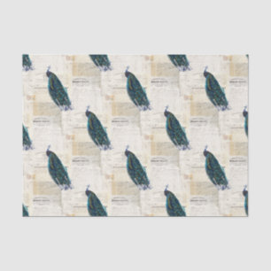 Vintager Pfau-französisches Seidenpapier