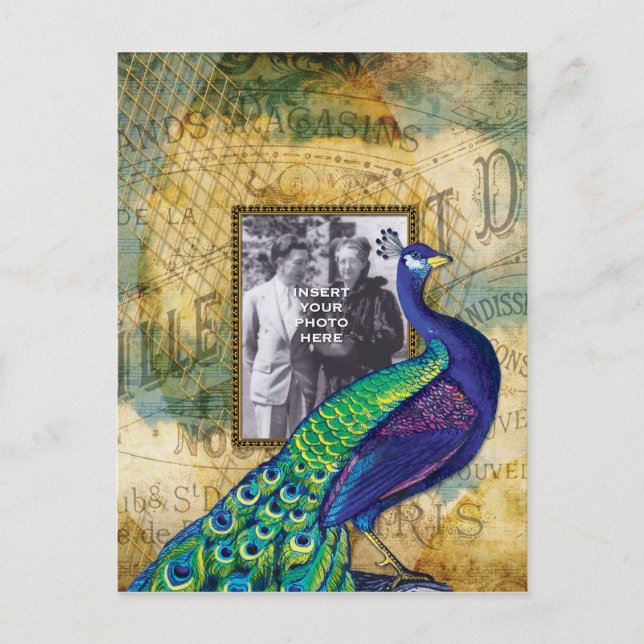 Vintager Pfau in Paris Postkarte (Vorderseite)