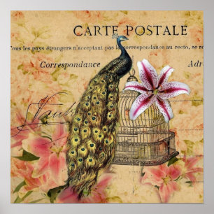 Vintager Pfau tropischen Lilien-Blume Birdcage Poster