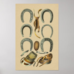 Vintager Pferdeschuh Farrier 1898 Print Poster