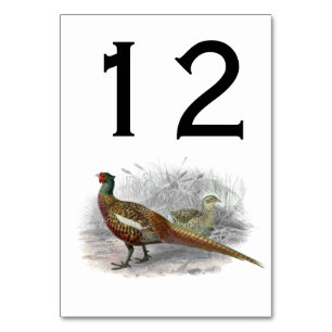 Vintager Pheasant Game Bird Zeichne Farbe #2 Tischnummer