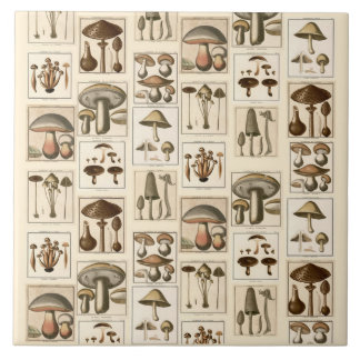 Vintager Pilz-Botanische Drucktrivet Fliese
