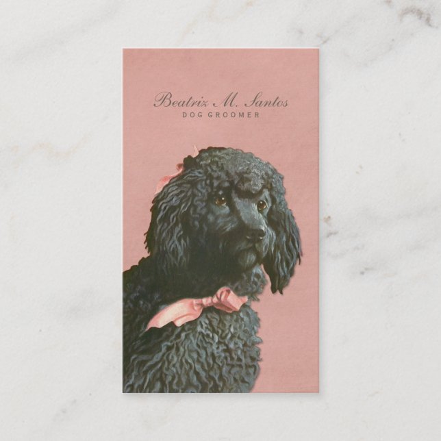 Vintager Pudel-Hund, der cooles Visitenkarte (Vorderseite)