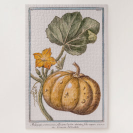 Vintager Pumpkin von Giorgio Bonelli