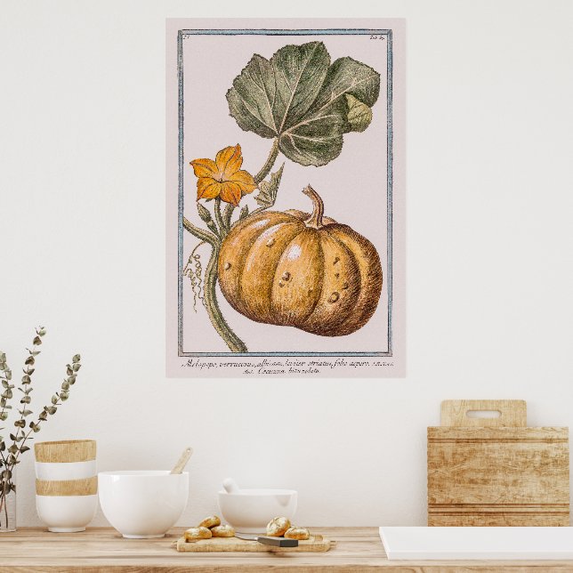 Vintager Pumpkin von Giorgio Bonelli Poster (Küche)