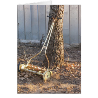 Vintager Rasenmäher